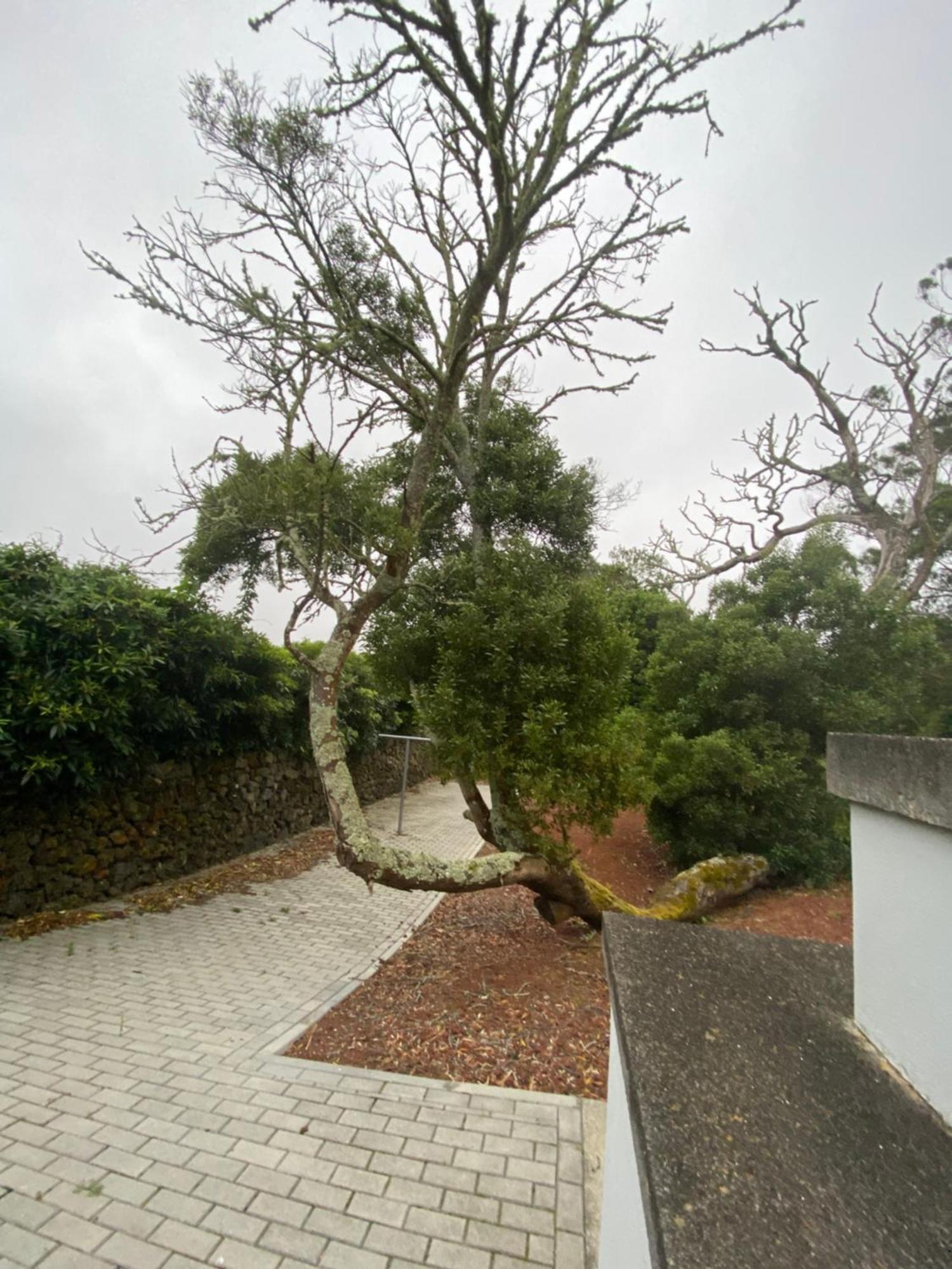Casa Azul Terceira Island Azores Fonte do Bustardo Exterior photo